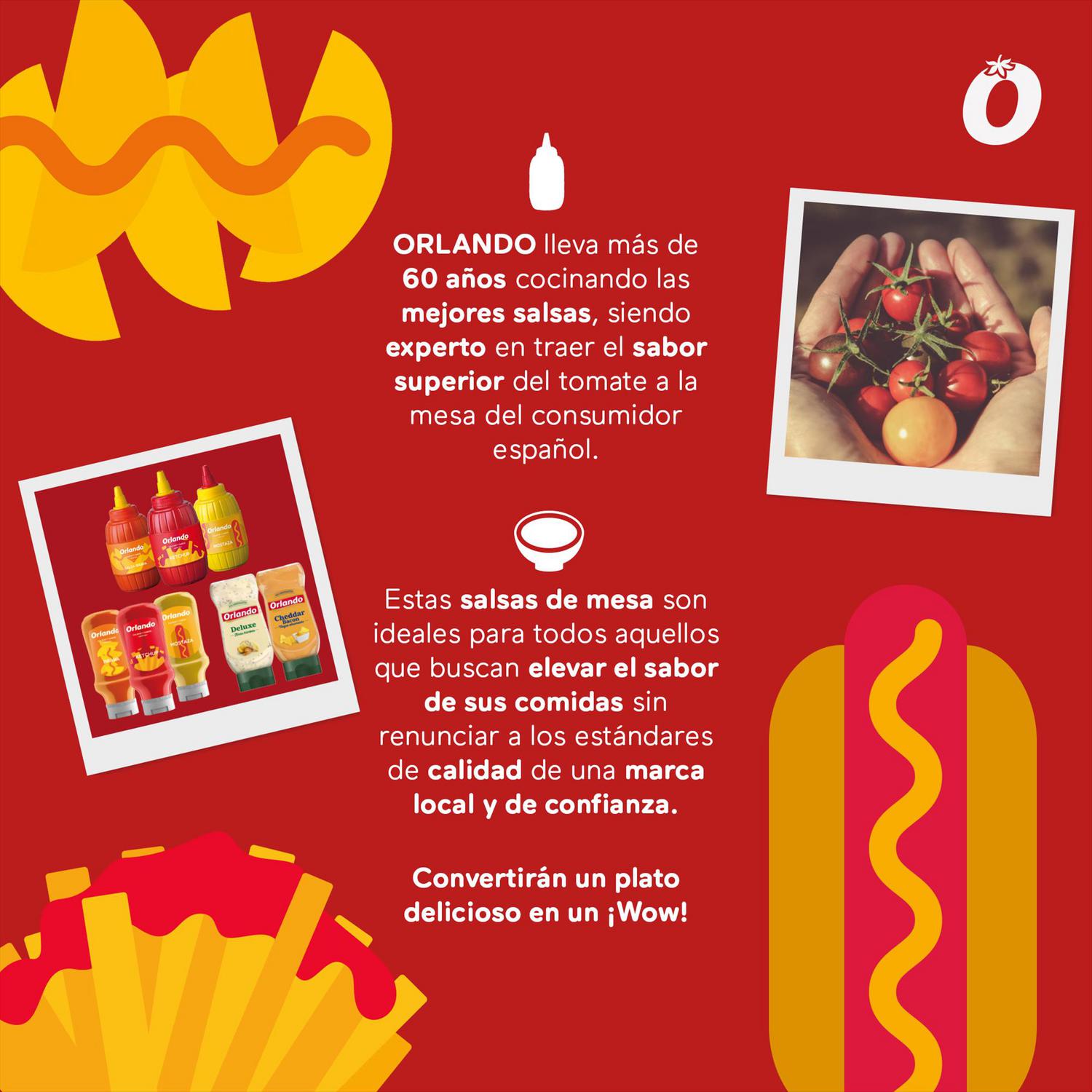 Kétchup Orlando sin gluten envase 300 g. — otra vista del envase