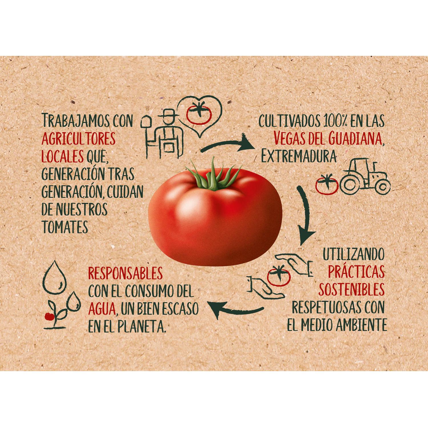 Tomate frito Solís sin gluten pack de 6 brik de 350 g. — otra vista del envase