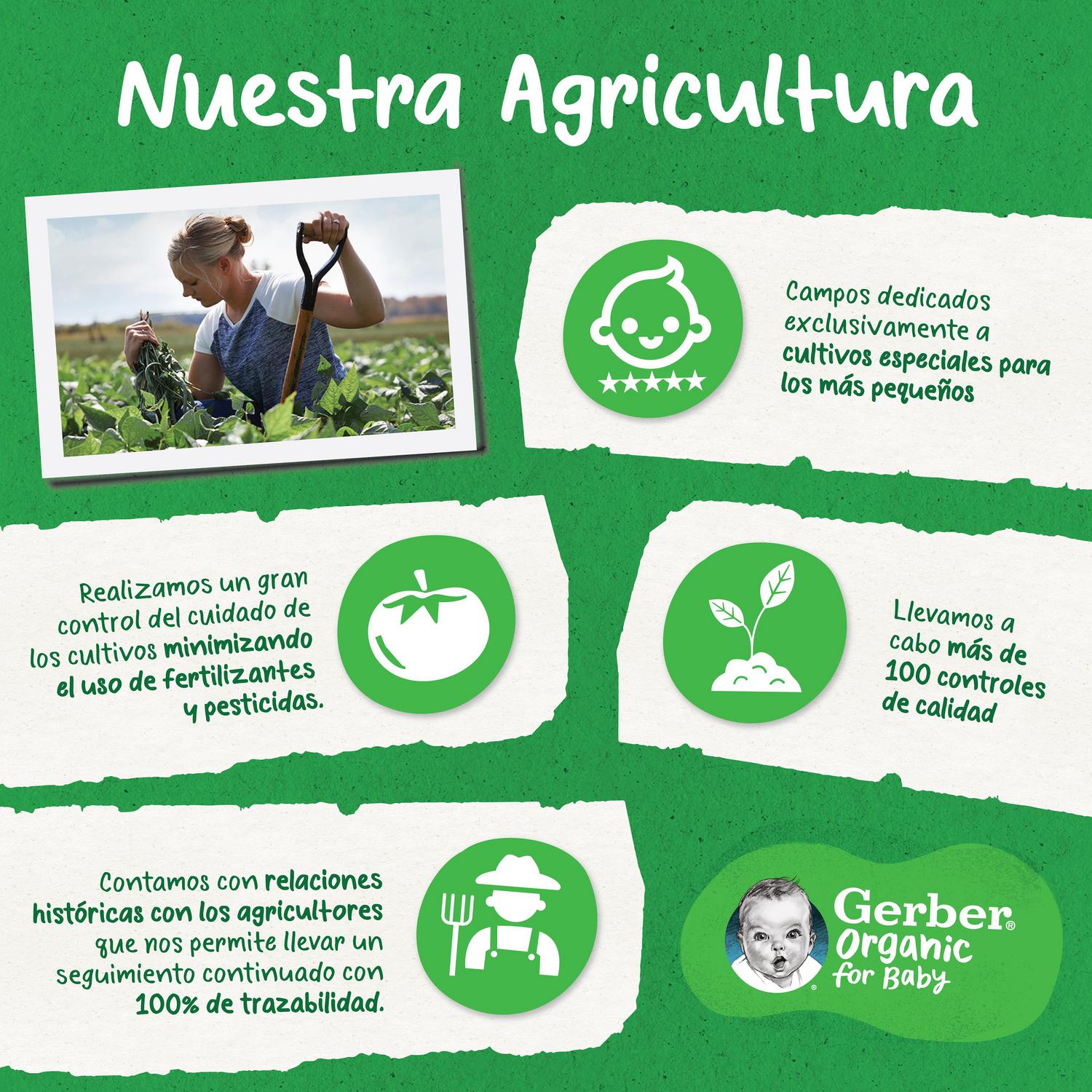 Bolsita de mango desde 6 meses ecológico Gerber sin gluten y sin azúcar añadido 90 g. — otra vista del envase