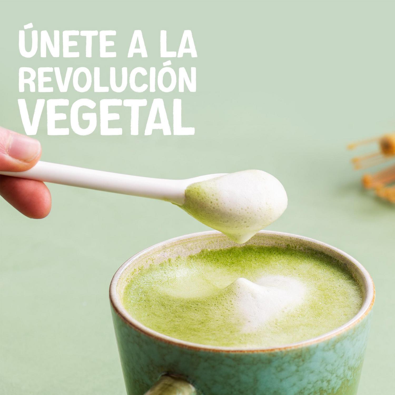 Bebida vegetal de matcha con base de coco Alpro sin gluten y sin lactosa brik 1 l — otra vista del envase