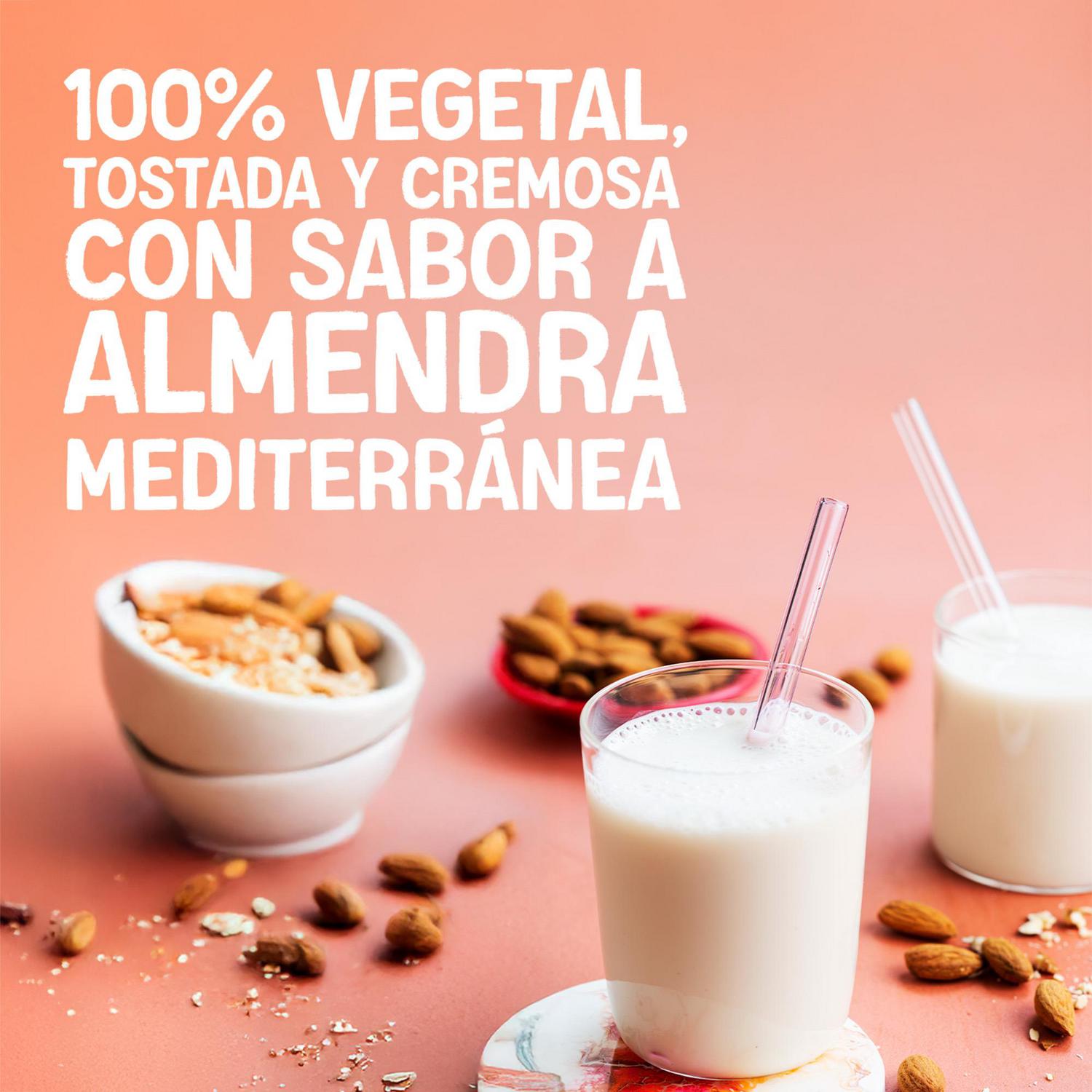 Bebida de almendras sin azúcar Alpro sin gluten y sin lactosa brik 1 l. — otra vista del envase